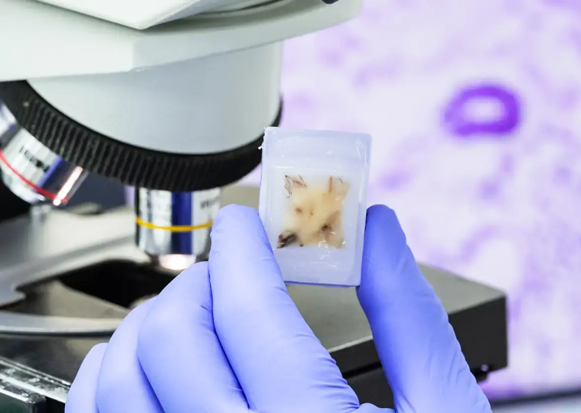 alt-content-Biospecimen Quality