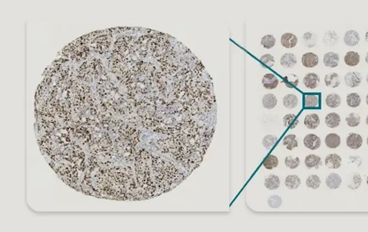 Tissue Samples