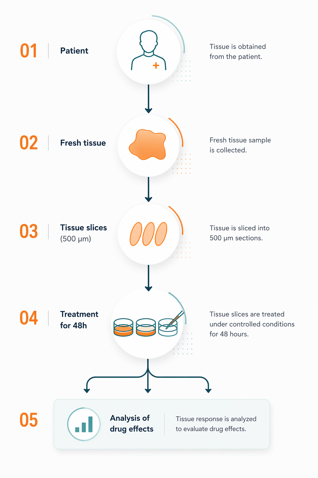 Drug profiling 2
