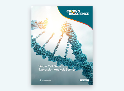 Single Cell Gene Expression Analysis Service