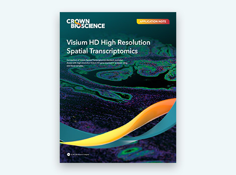 Visium HD High Resolution Spatial Transcriptomics