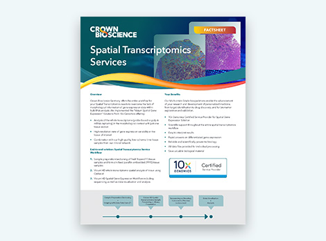 Spatial Transcriptomics Services