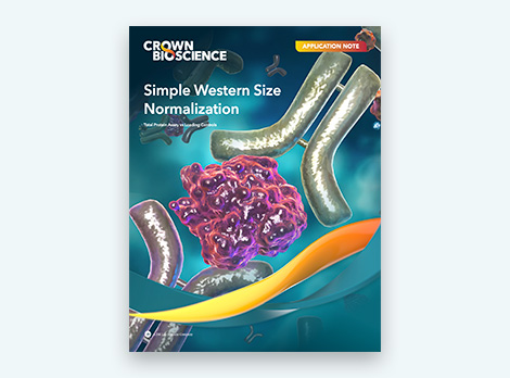 Simple Western Size Normalization
