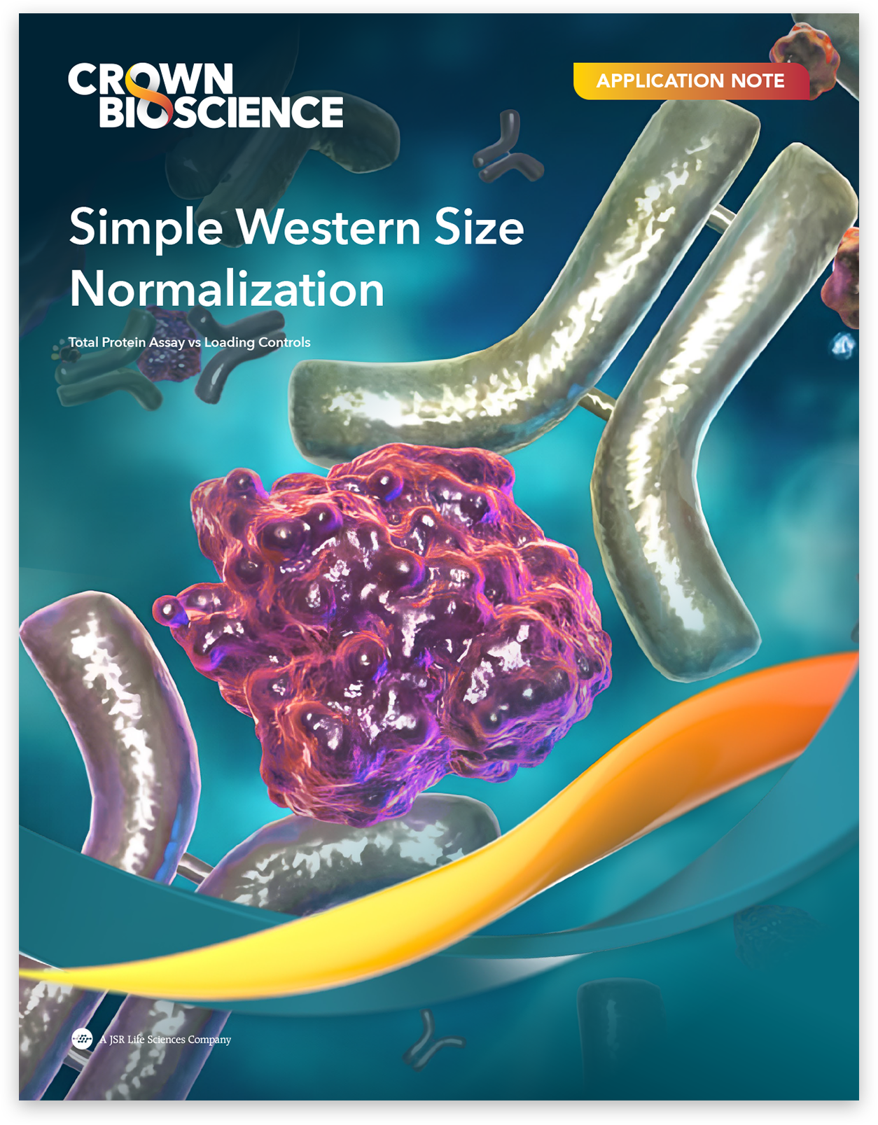 Visium HD High Resolution
Spatial Transcriptomics